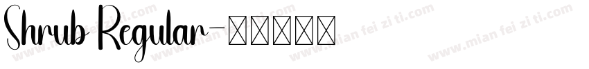 Shrub Regular字体转换